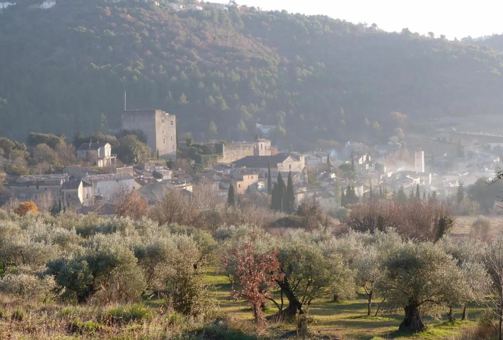 Gite Nature Les Anoures En Provence Mollans-sur-Ouveze Holiday home